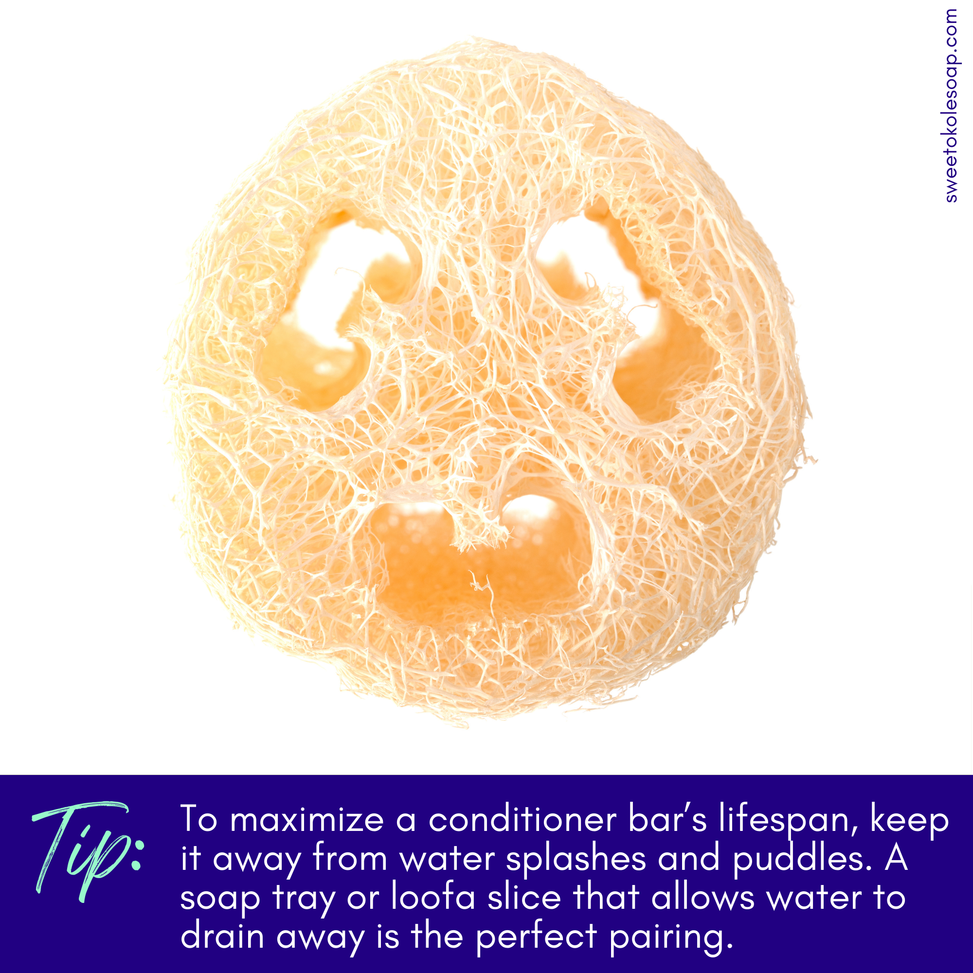 Essential Oil Conditioner Bar - Citrus Patchouli with Olena (Turmeric)