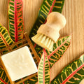 Sustainable Dish Brush, Eco Friendly Kitchen Scrub Brush for Dish Washing