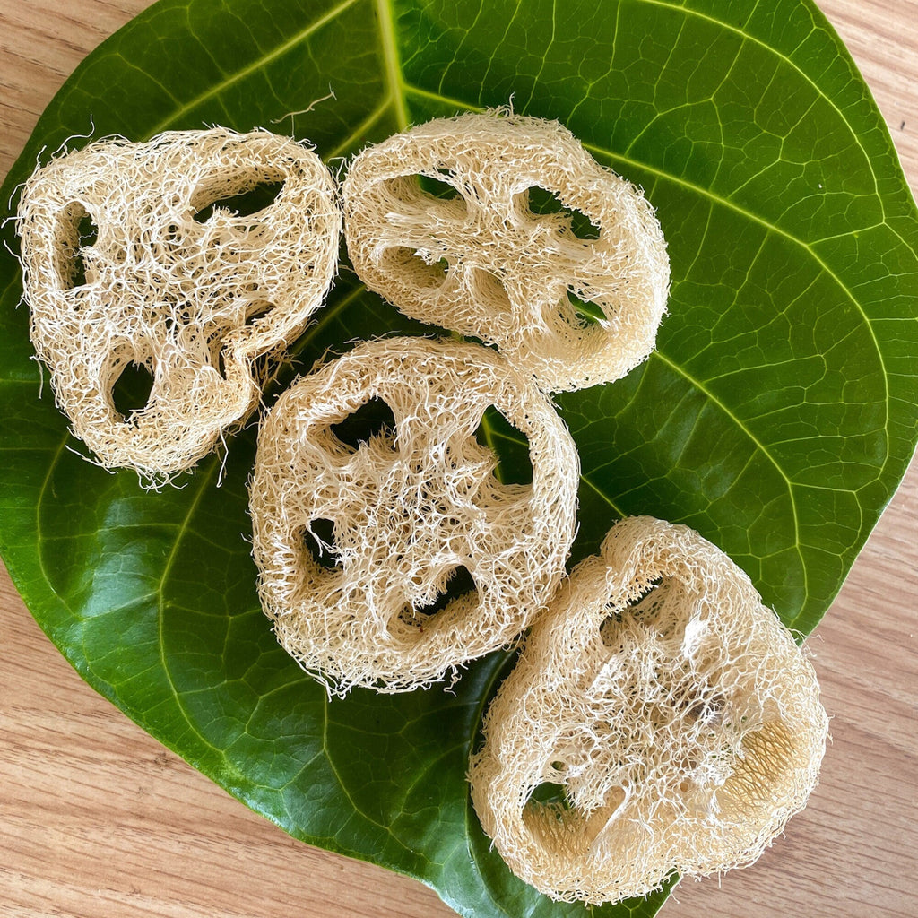 Loofa Slice Soap Lifter, Shampoo Bar Lift, Compostable Soap Saver Pad